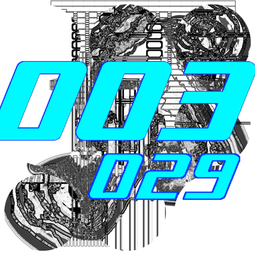 003-029