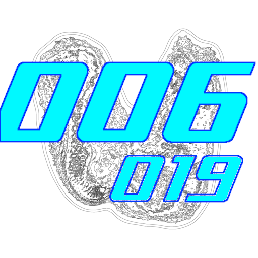 006-019
