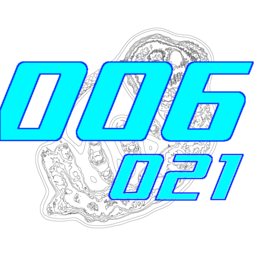 006-021