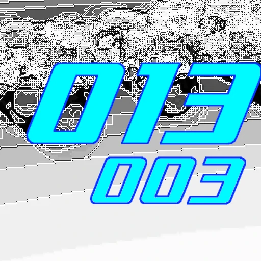 013-003