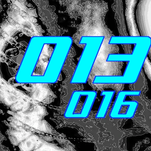 013-016
