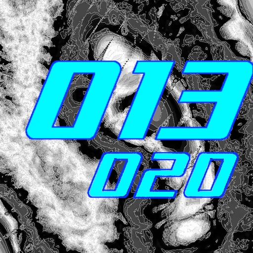 013-020