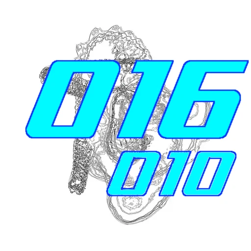 016-010