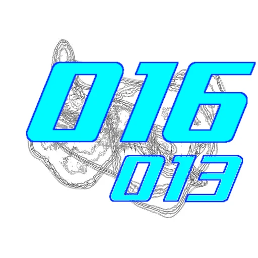 016-013