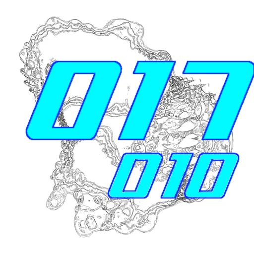 017-010