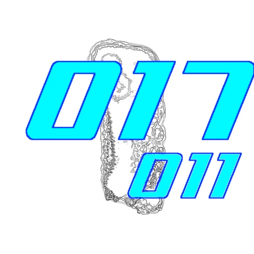 017-011
