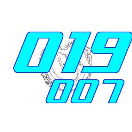 019-007