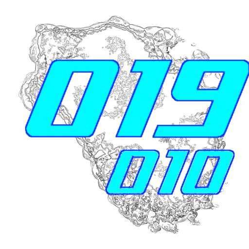 019-010