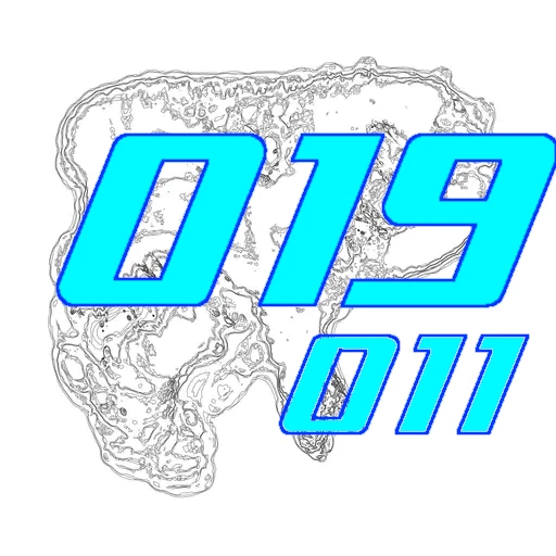019-011