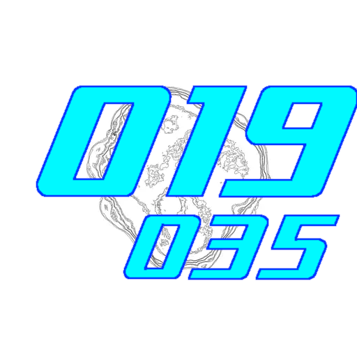 019-035
