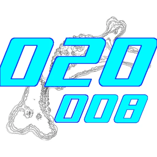 020-008
