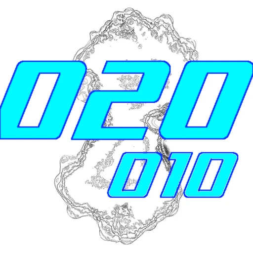 020-010