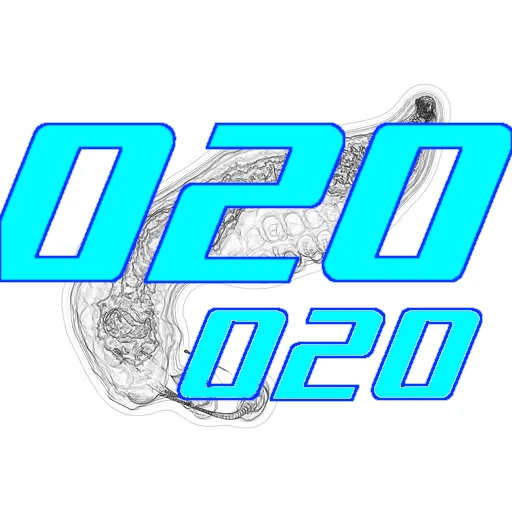 020-020